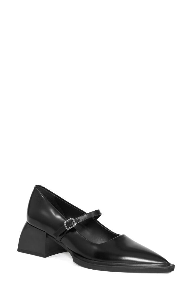 Vagabond Shoemakers Vivian Pointed Toe Mary Jane Pump in Black Cover