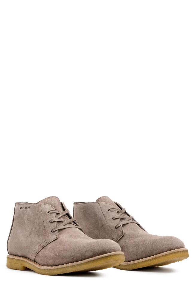 AllSaints Bilton Chukka Boot in Taupe Brown Cover