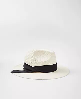 Ann Taylor Straw Ribbon Hat Cover