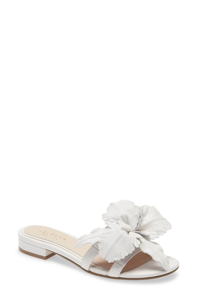 Cecelia New York Lila Slide Sandal in Alabaster Leather Cover