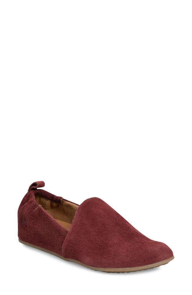 Børn Margarite Loafer in Dark Red Suede Cover