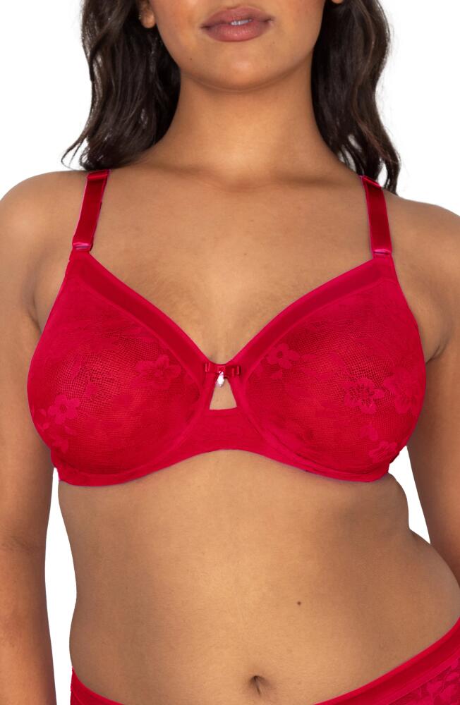 Curvy Couture No-Show Lace Underwire Unlined Bra in Diva Red Cover