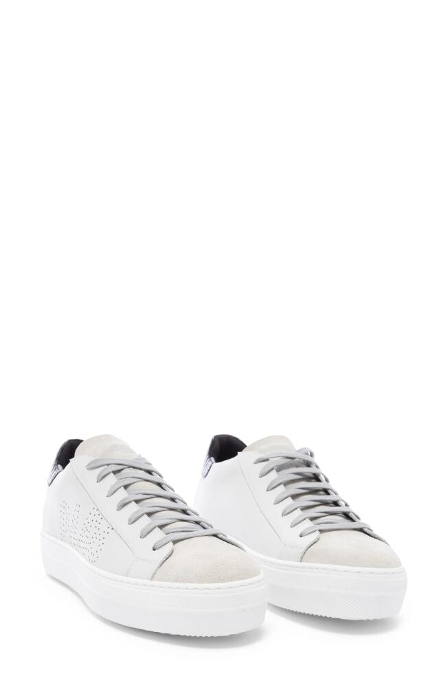 P448 Thea Sneaker in White-Black Cover