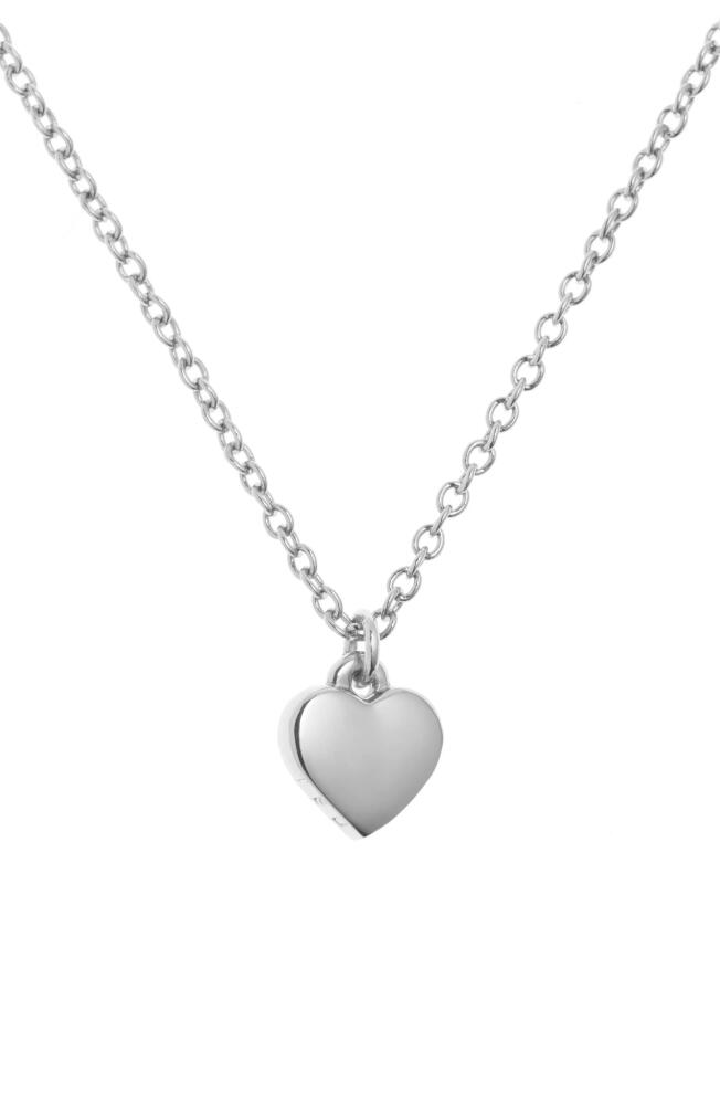 Ted Baker London Hara Tiny Heart Pendant Necklace in Silver Cover