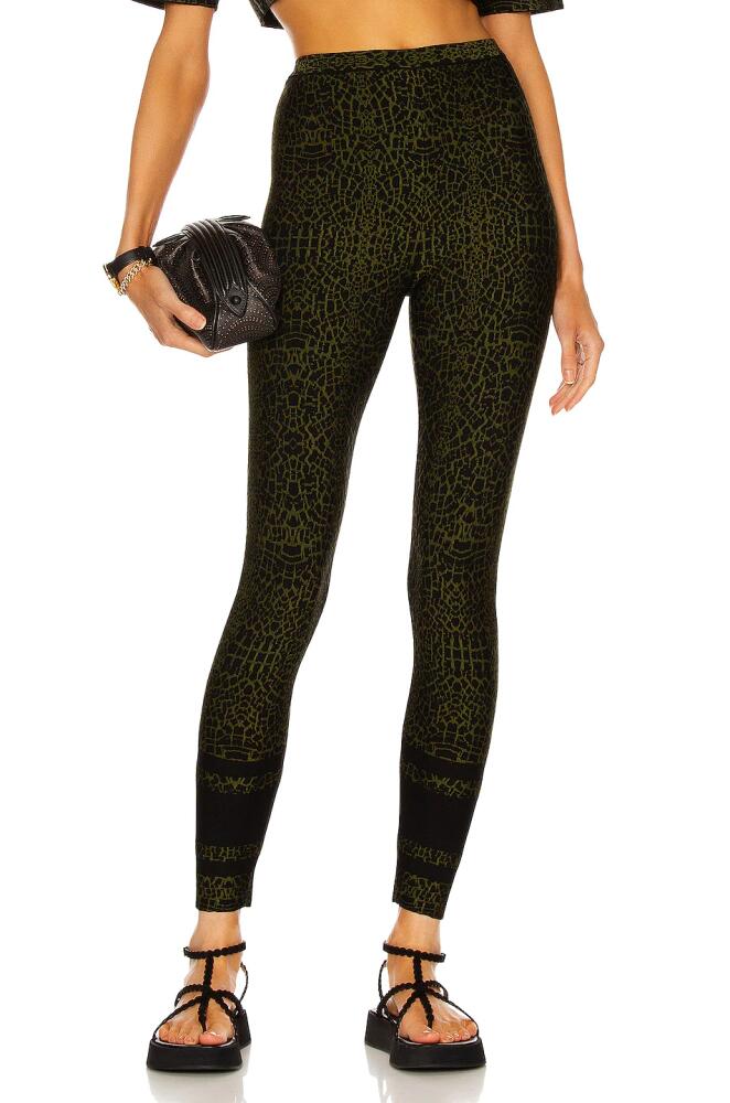 ALAÏA Animalier Legging in Green Cover