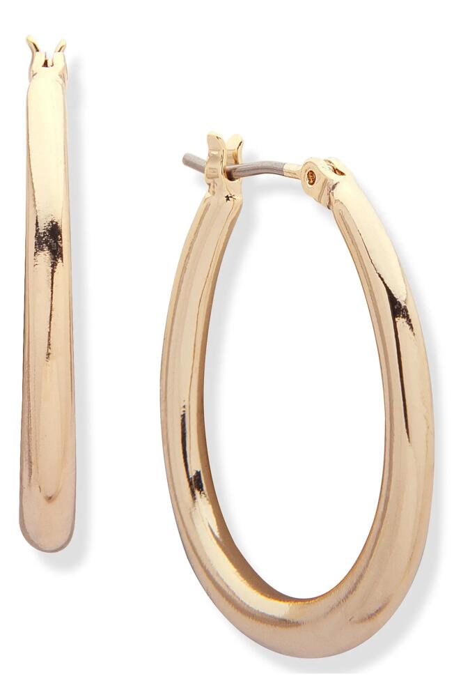 Lauren Ralph Lauren Oval Hoop Earrings in Gold Cover