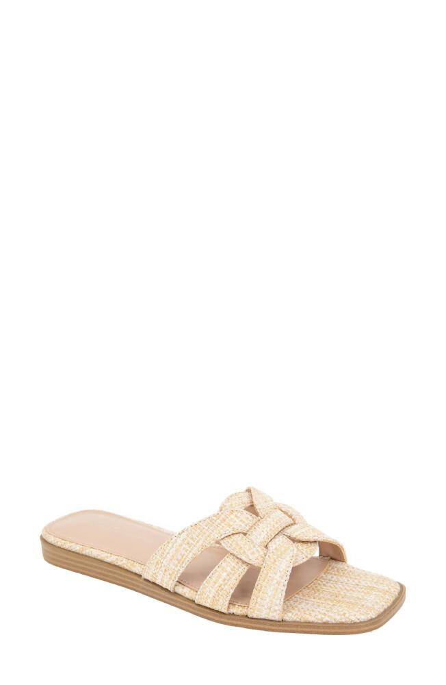 bcbg Meltem Square Toe Slide Sandal in Natural Raffia Cover