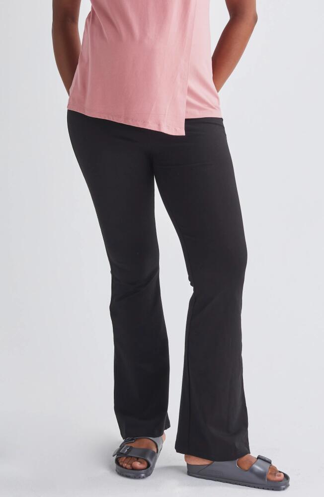 Angel Maternity Bootcut Maternity Leggings in Black Cover