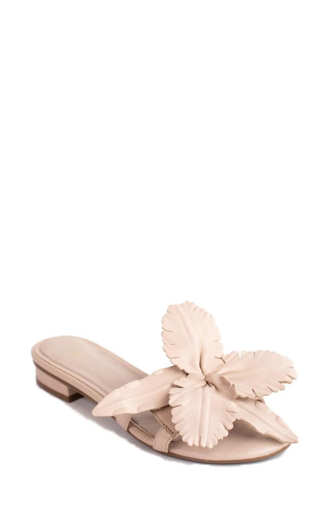 Cecelia New York Lila Slide Sandal in Nude Leather Cover