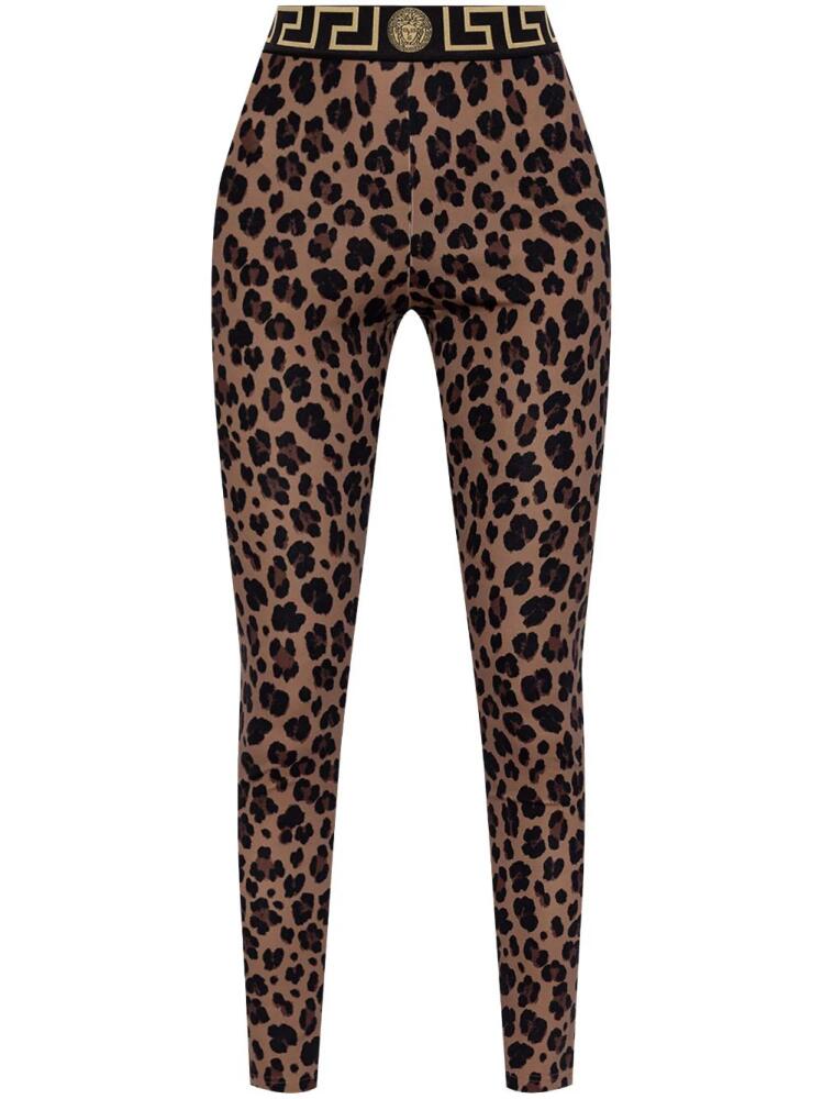 Versace logo leggings - Brown Cover