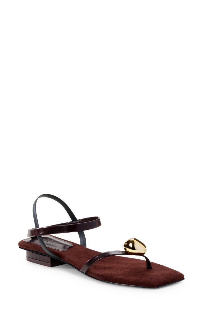 Cult Gaia Illene Strappy Sandal in Espresso Cover