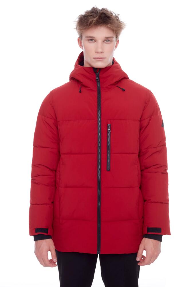 Alpine North BANFF - Vegan Down Mid-Weight Quilted Puffer Jacket in Deep Red Cover