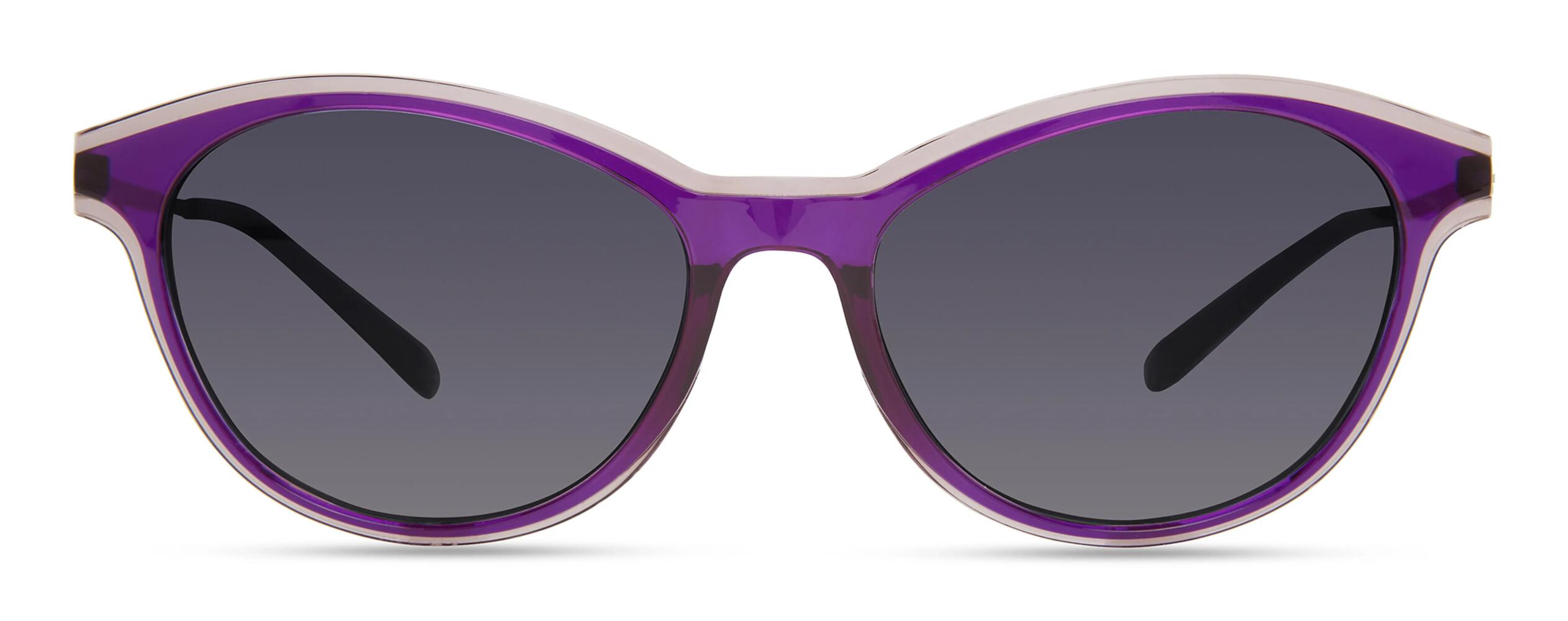 Modo 706 Sunglasses in Purple Cover