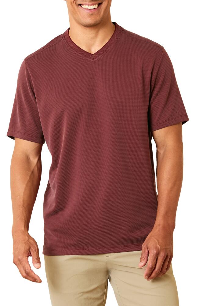 Tommy Bahama Men's Coastal Crest IslandZone V-Neck T-Shirt in Pinot Noir Cover