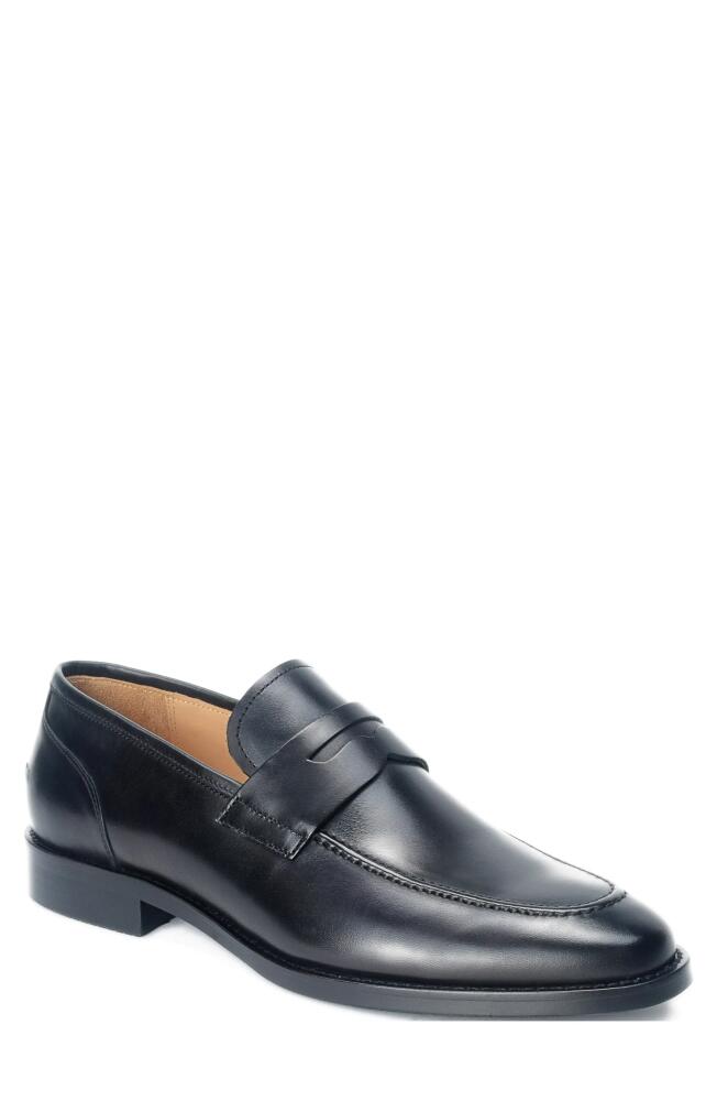 Warfield & Grand Camino Penny Loafer in Black Cover