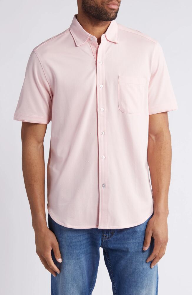 Tommy Bahama San Lucio IslandZone Short Sleeve Knit Button-Up Shirt in Quartz Pink Cover