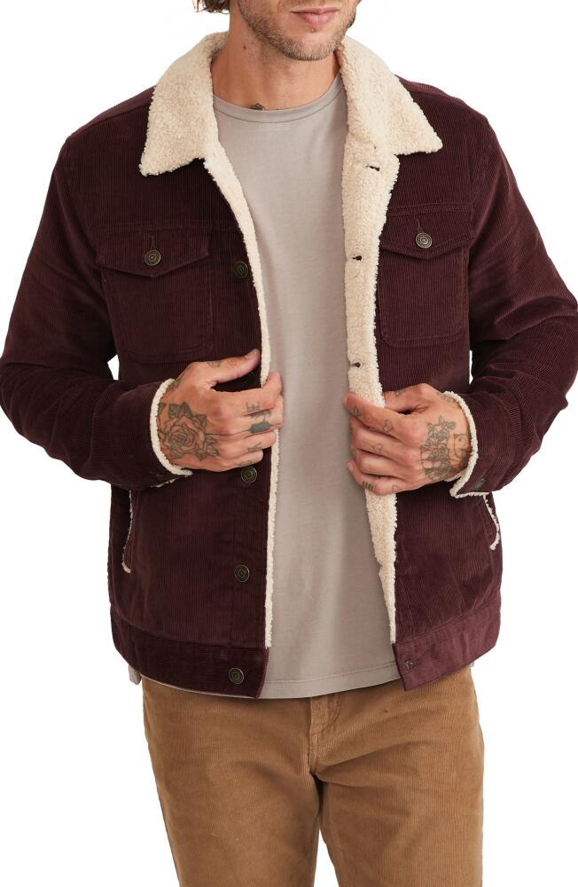 Marine Layer Boise Corduroy & Faux Shearling Trucker Jacket in Fudge Cover