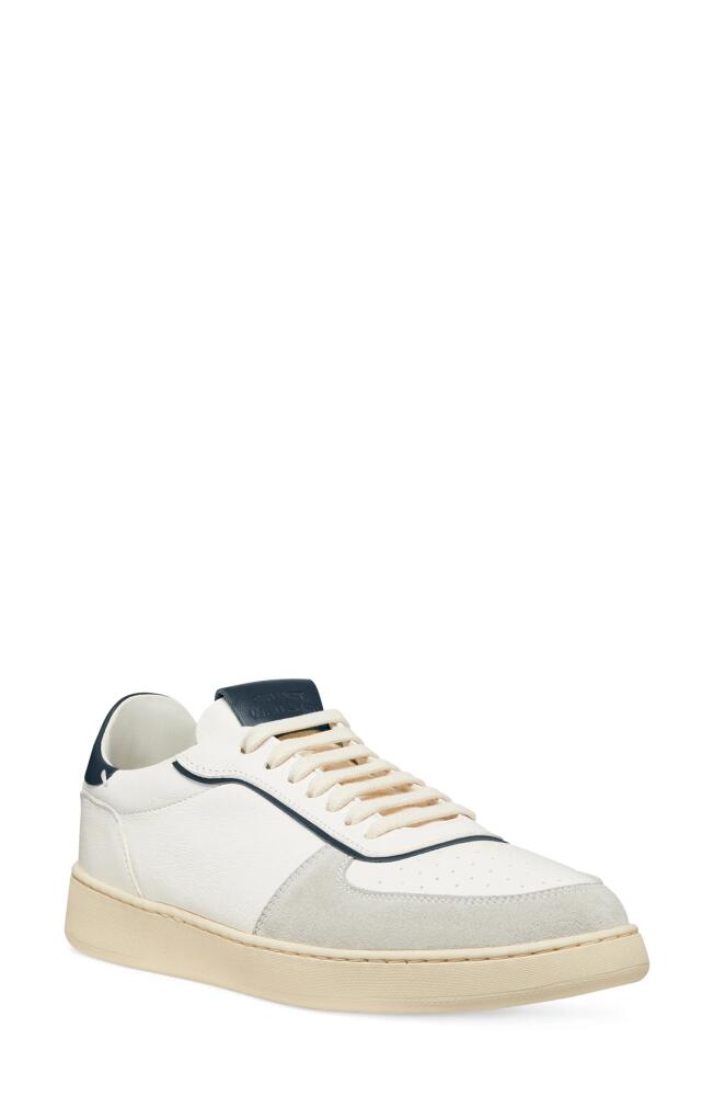 Stuart Weitzman SW Courtside Sneaker in Light Grey/White/Nice Blue Cover