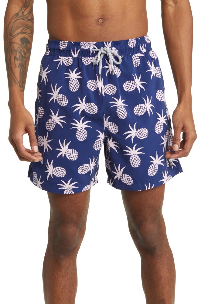 Tom & Teddy Pineapple Print Swim Trunks in Shell Pink Cover