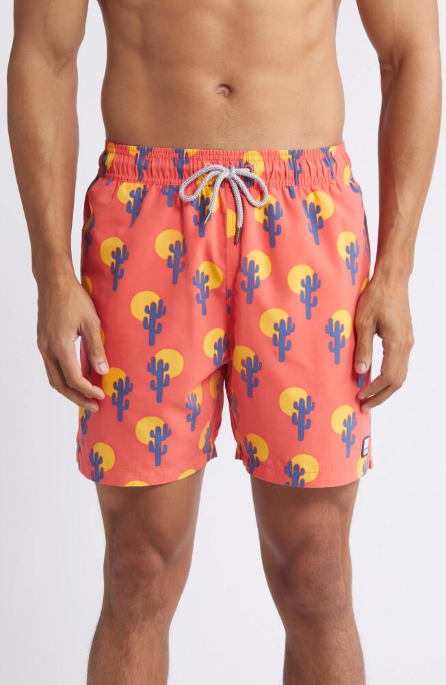 Tom & Teddy Cactus Print Performance Swim Trunks in Deep Rose Cover