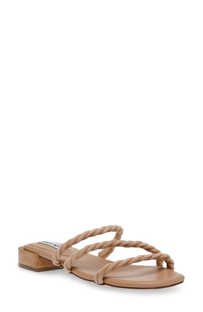 Steve Madden Annah Strappy Sandal in Tan Suede Cover