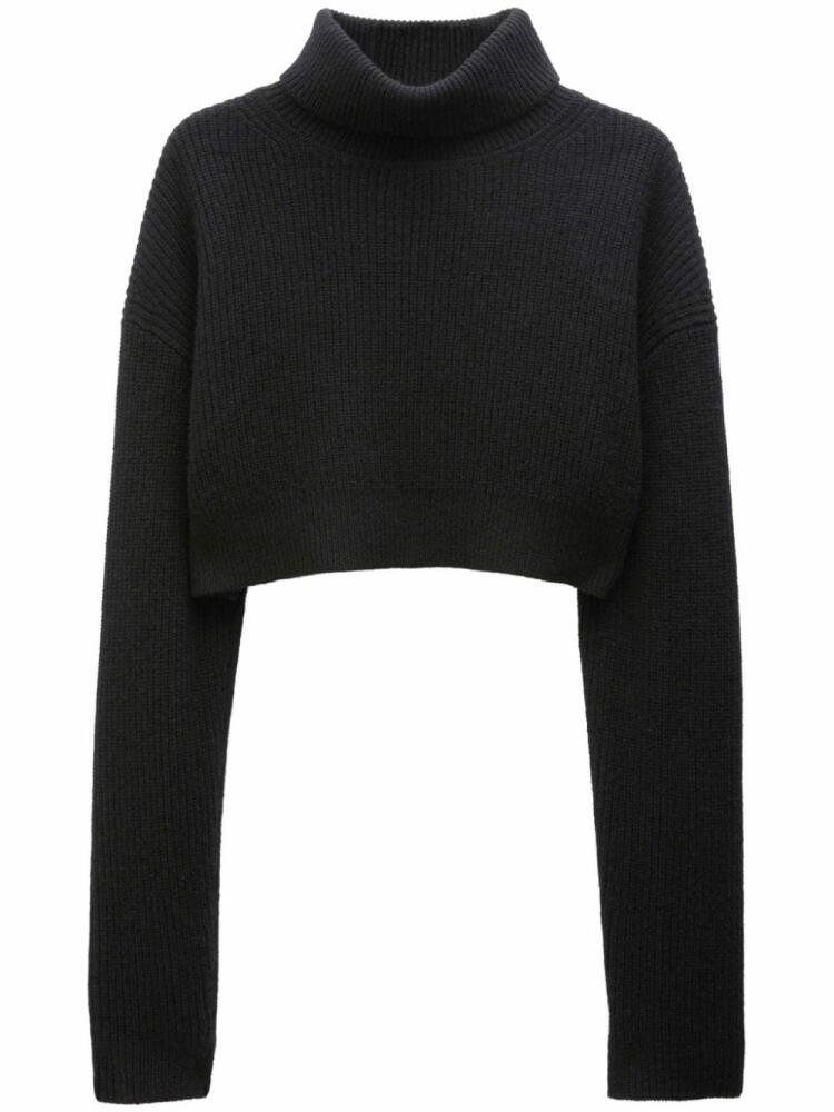 Filippa K ribbed-knit cashmere cropped jumper - Black Cover