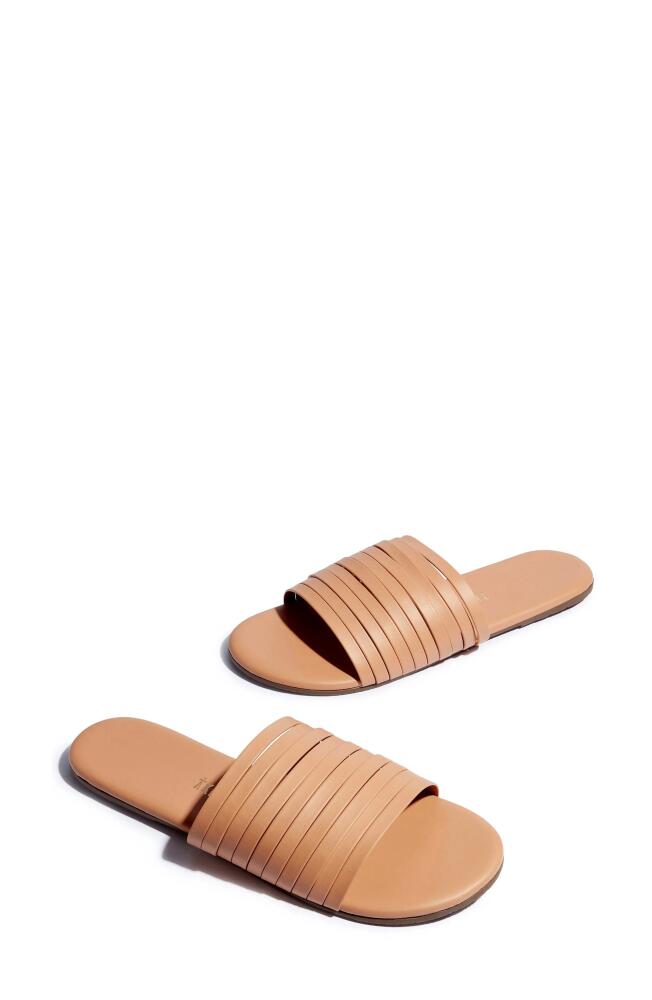 TKEES Avery Strappy Slide Sandal in Pout Cover