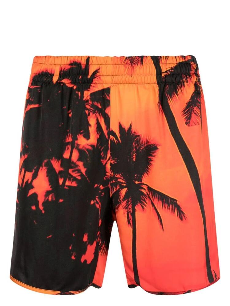 BLUE SKY INN palm-tree print swim shorts - Orange Cover