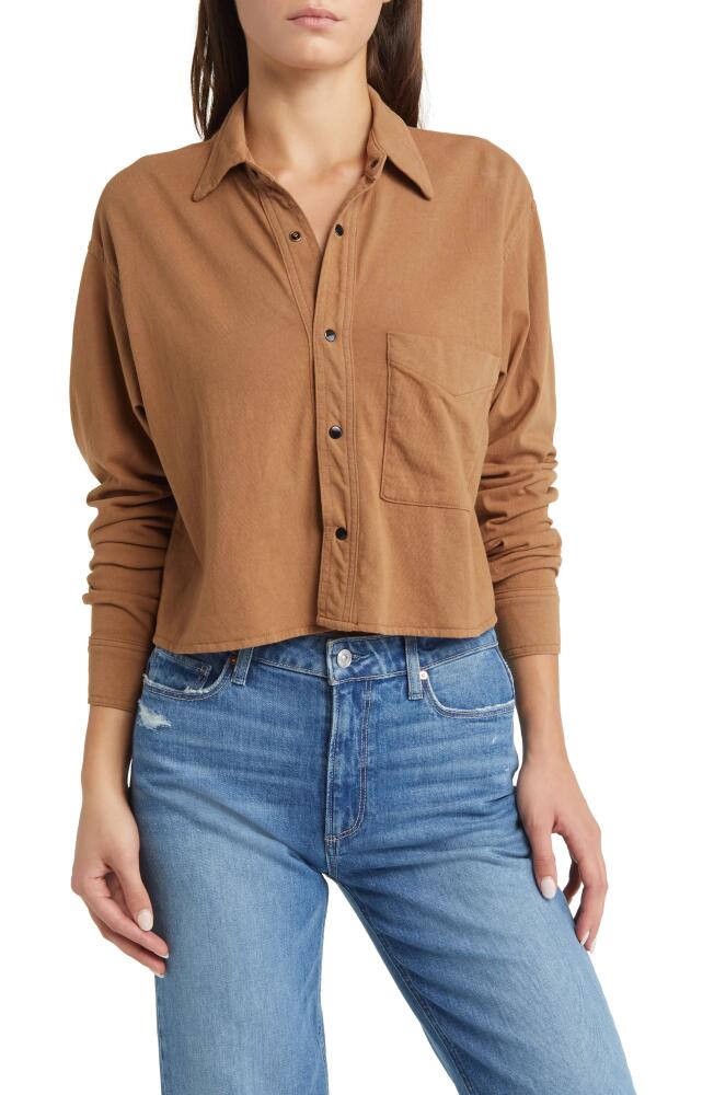 ASKK NY Crop Shirt in Tan Cover