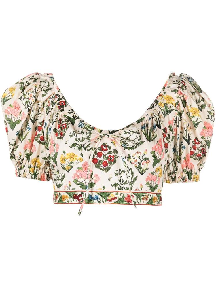 Agua By Agua Bendita floral-print cropped top - Neutrals Cover