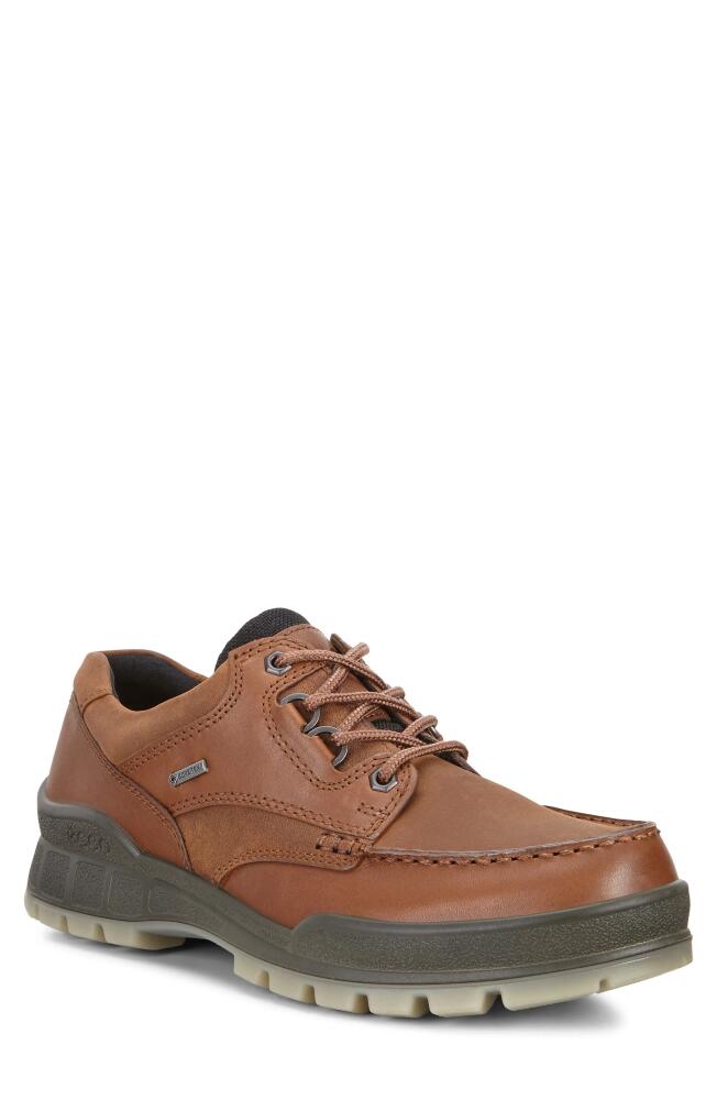 ECCO Track 25 Waterproof Moc Toe Derby in Bison/Bison Cover