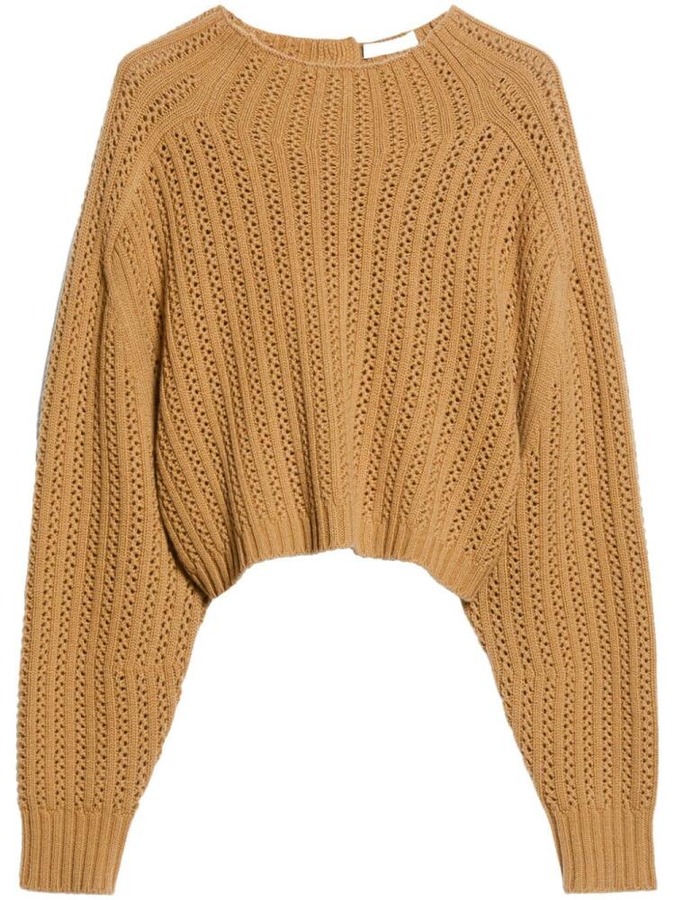 Max Mara Hodeida sweater - Brown Cover