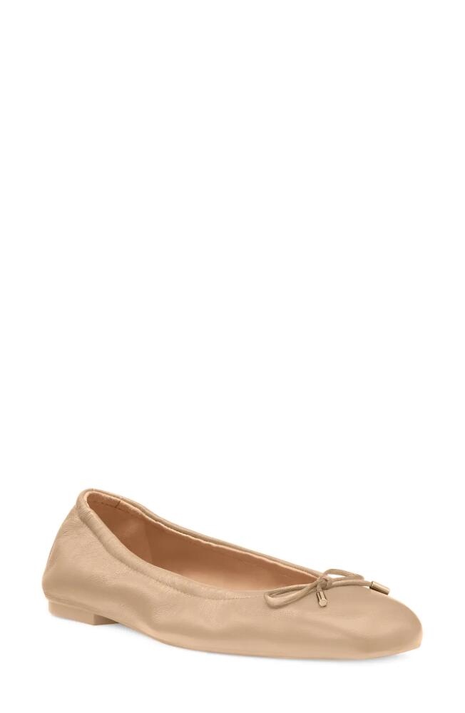 Stuart Weitzman Bow Flat in Adobe Cover