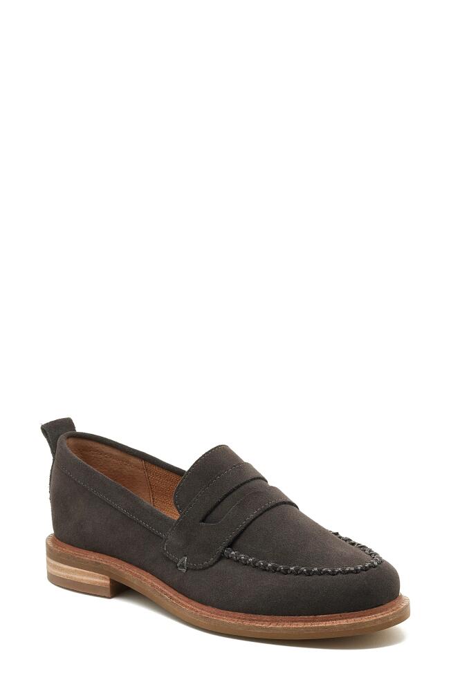 Kelsi Dagger Brooklyn Lens Penny Loafer in Graphite Cover