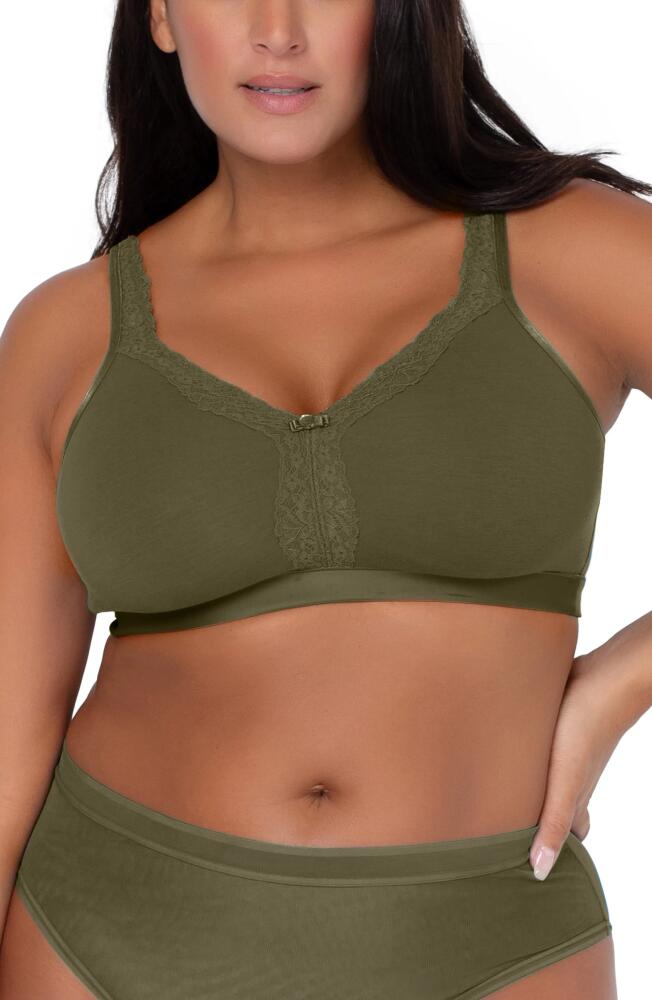 Curvy Couture Lace Trim Wireless Bra in Olive Night Cover