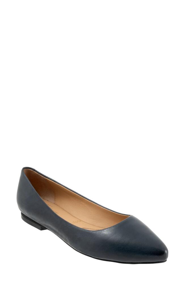 Trotters Estee Ballet Flat in Navy Cover