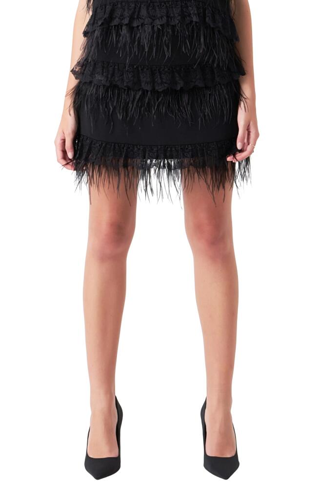 Endless Rose Lace & Feather Miniskirt in Black Cover