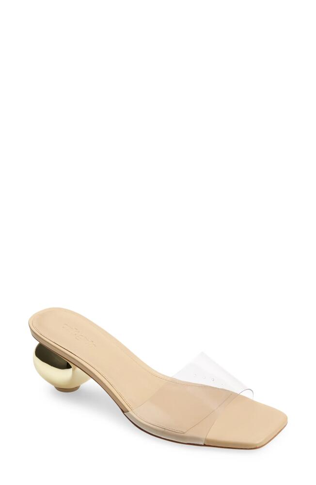 Cult Gaia Tyra Sculpted Heel Slide Sandal in Clear Cover