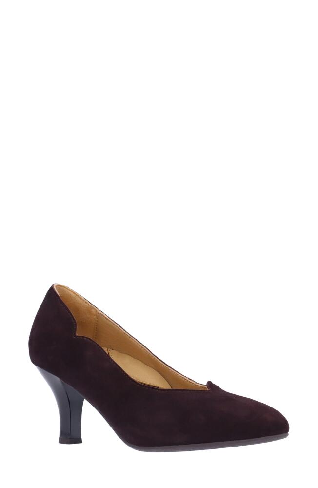 L'Amour des Pieds Bambelle Pointed Toe Pump in Chocolate Cover