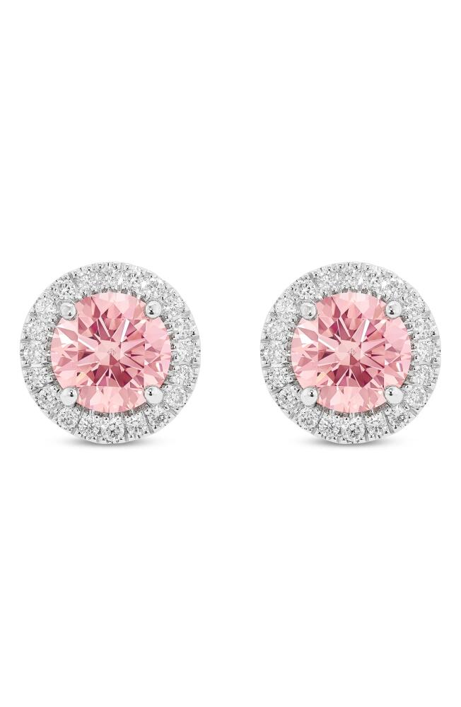 LIGHTBOX 2-Carat Lab Grown Diamond Halo Stud Earrings in Pink/14K White Gold Cover