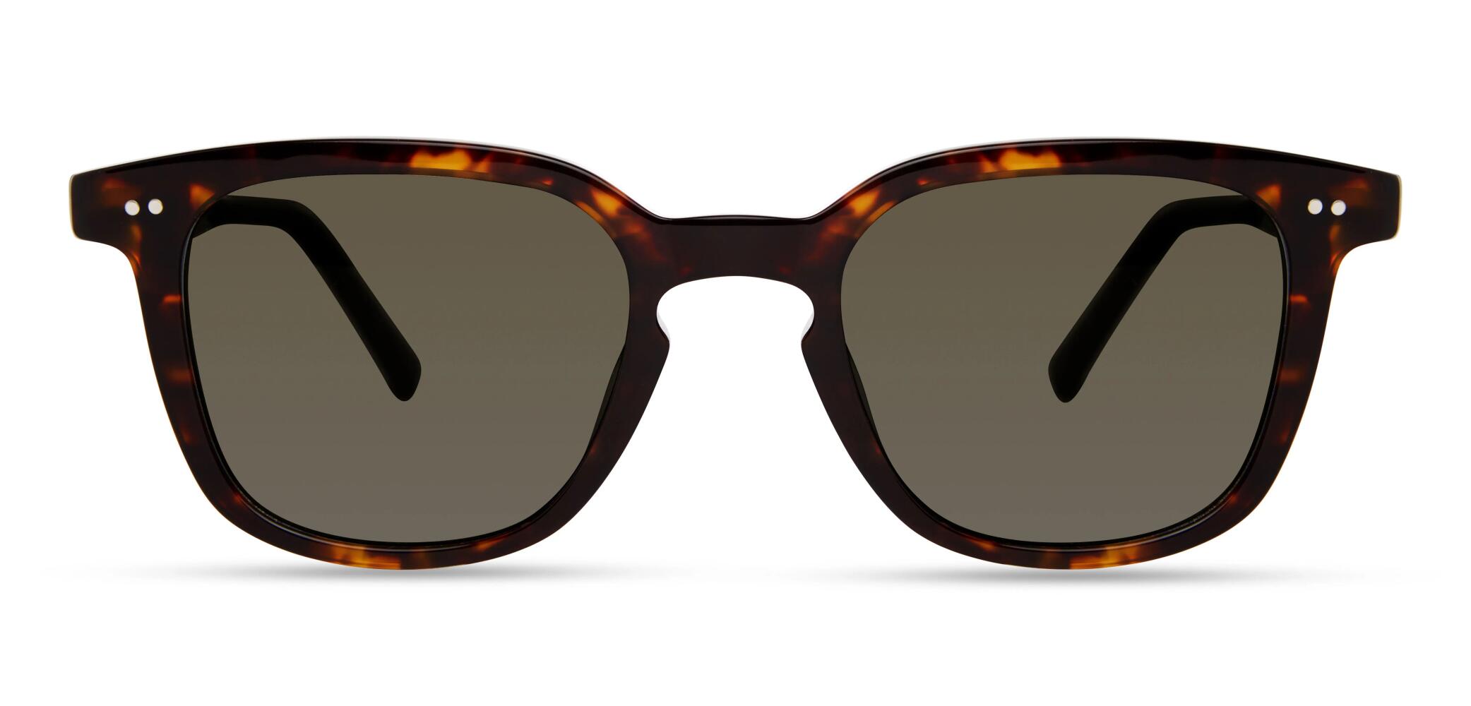 Modo 800 Sunglasses in Tortoise Cover