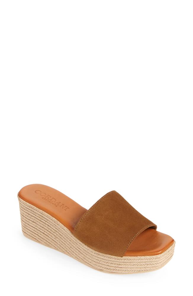 Cordani Bibi Espadrille Wedge Slide Sandal in Cuero Suede Cover