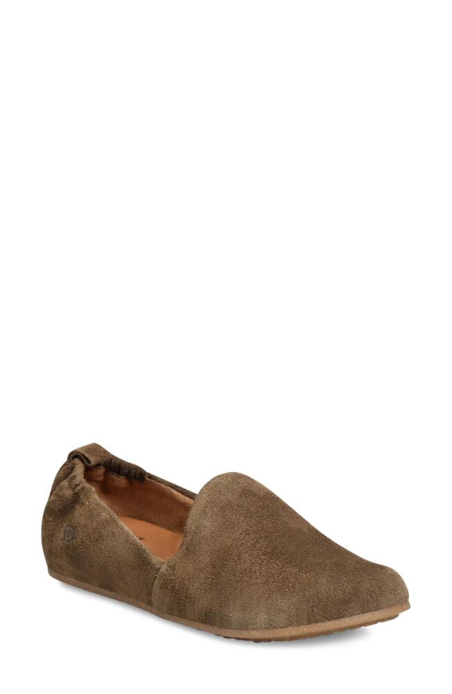 Børn Margarite Loafer in Taupe Suede Cover