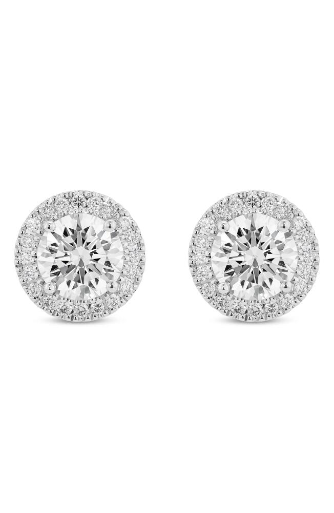 LIGHTBOX 2-Carat Lab Grown Diamond Halo Stud Earrings in White/14K White Gold Cover