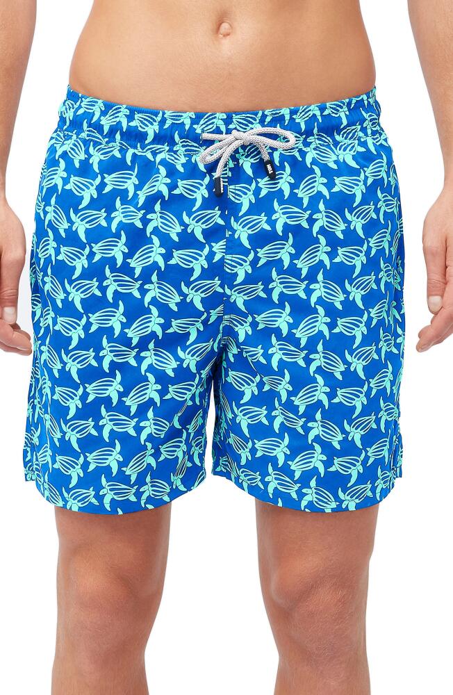 Tom & Teddy Turtle Print Swim Trunks in Blue And Ice Green Cover