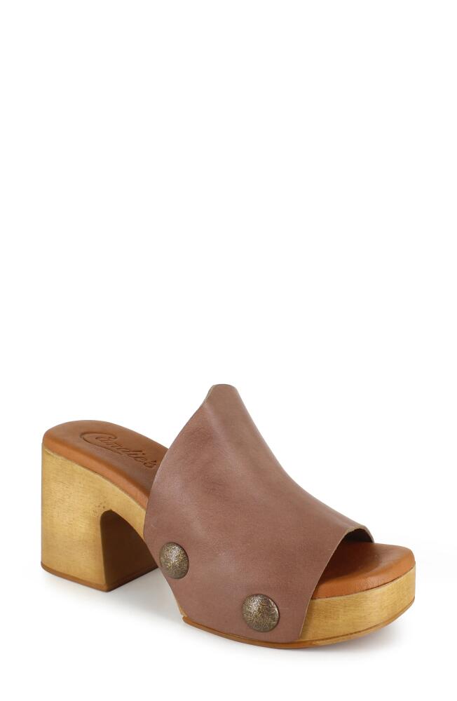 Candie's Fatima Platform Slide Sandal in Brown Cover