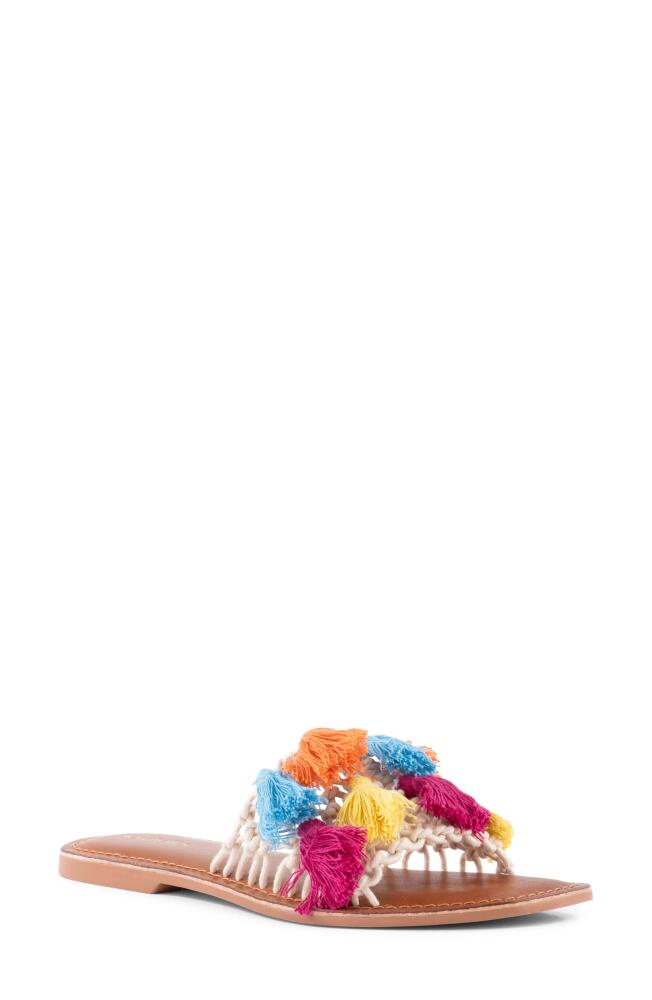 Seychelles Camellia Slide Sandal in Rainbow Cover