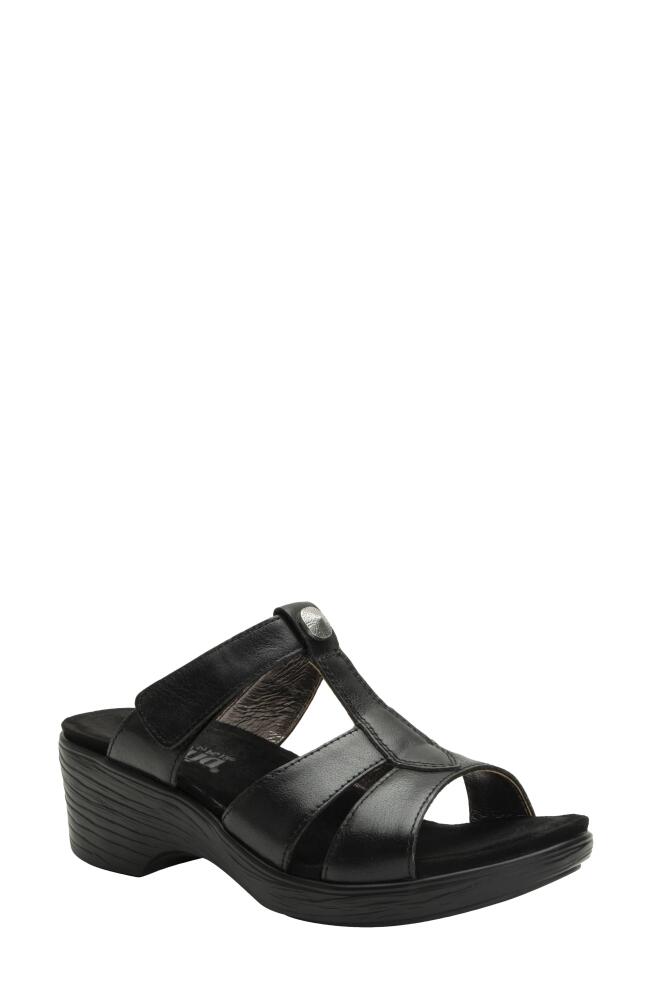 Alegria by PG Lite Shantal Platform Slide Sandal in Ink Cover