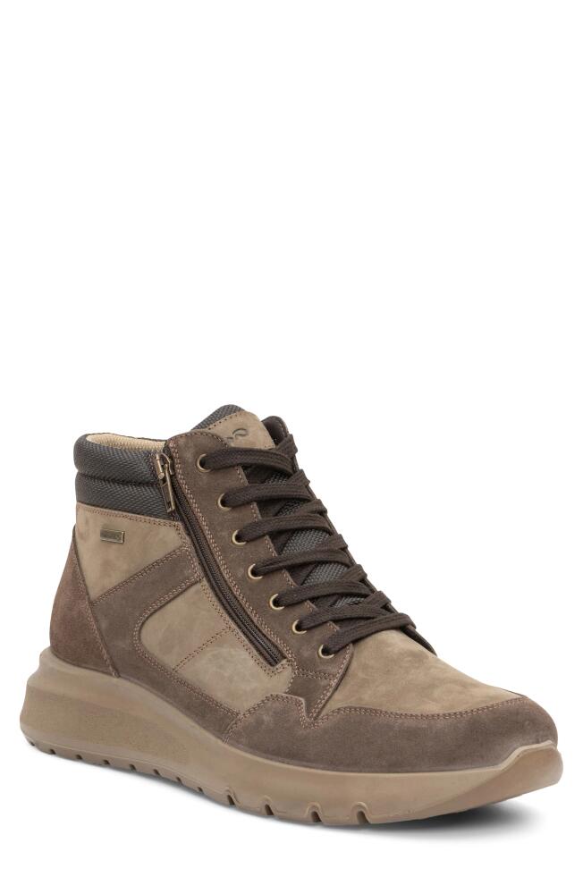 ara Adams Waterproof High Top Sneaker in Brown Cover