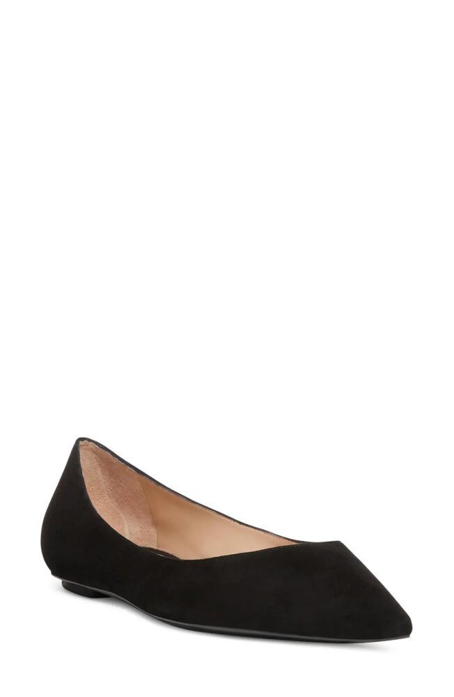 Stuart Weitzman Emilia Pointed Toe Flat in Black Suede Cover